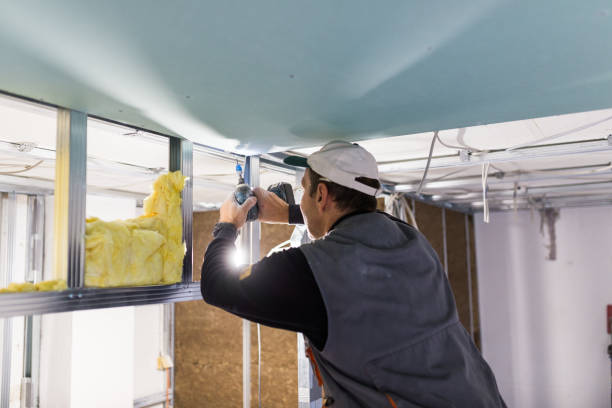 Best Commercial Insulation in Pleasant Grove, UT