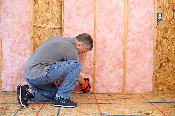 Best Insulation Installation Services in Pleasant Grove, UT