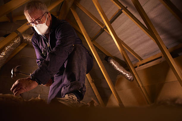 Best Insulation for Specific Applications in Pleasant Grove, UT